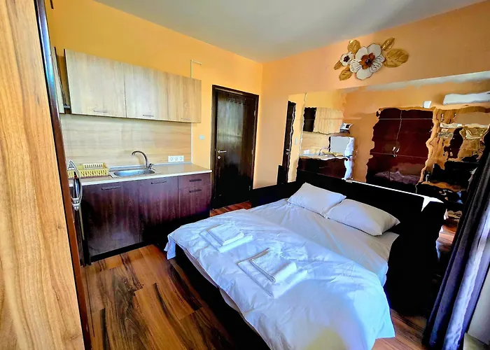 апартамент- студио кокетно アパート